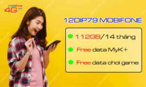 dang ky goi 12dip79 mobifone