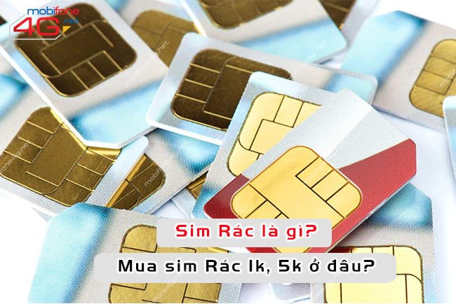 sim rac la gi