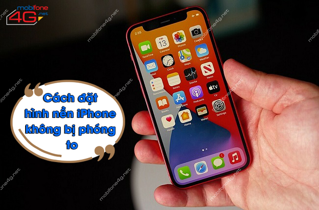 Tạo dấu ấn riêng cho điện thoại iPhone của bạn bằng cách đặt hình nền đẹp và ấn tượng. Khám phá thế giới của đủ thể loại và chủ đề để tìm kiếm và chọn lựa những bức ảnh phù hợp nhất với phong cách của bạn. Giờ đây, điện thoại của bạn đã trở nên độc đáo và thu hút hơn.