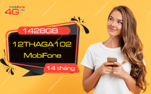 dang ky goi 12thaga102 mobifone