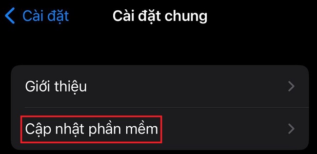 không cài đặt được ứng ngoài trên iPhone