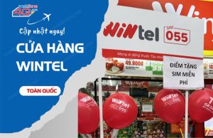 cua hang wintel o dau