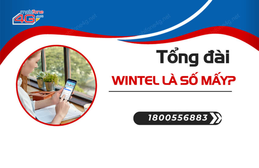 tong dai wintel la so may