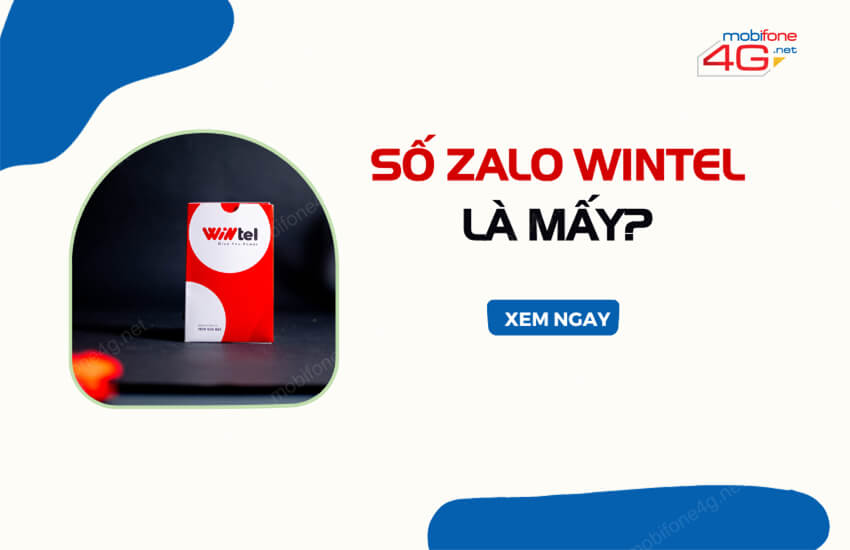 zalo wintel la so may